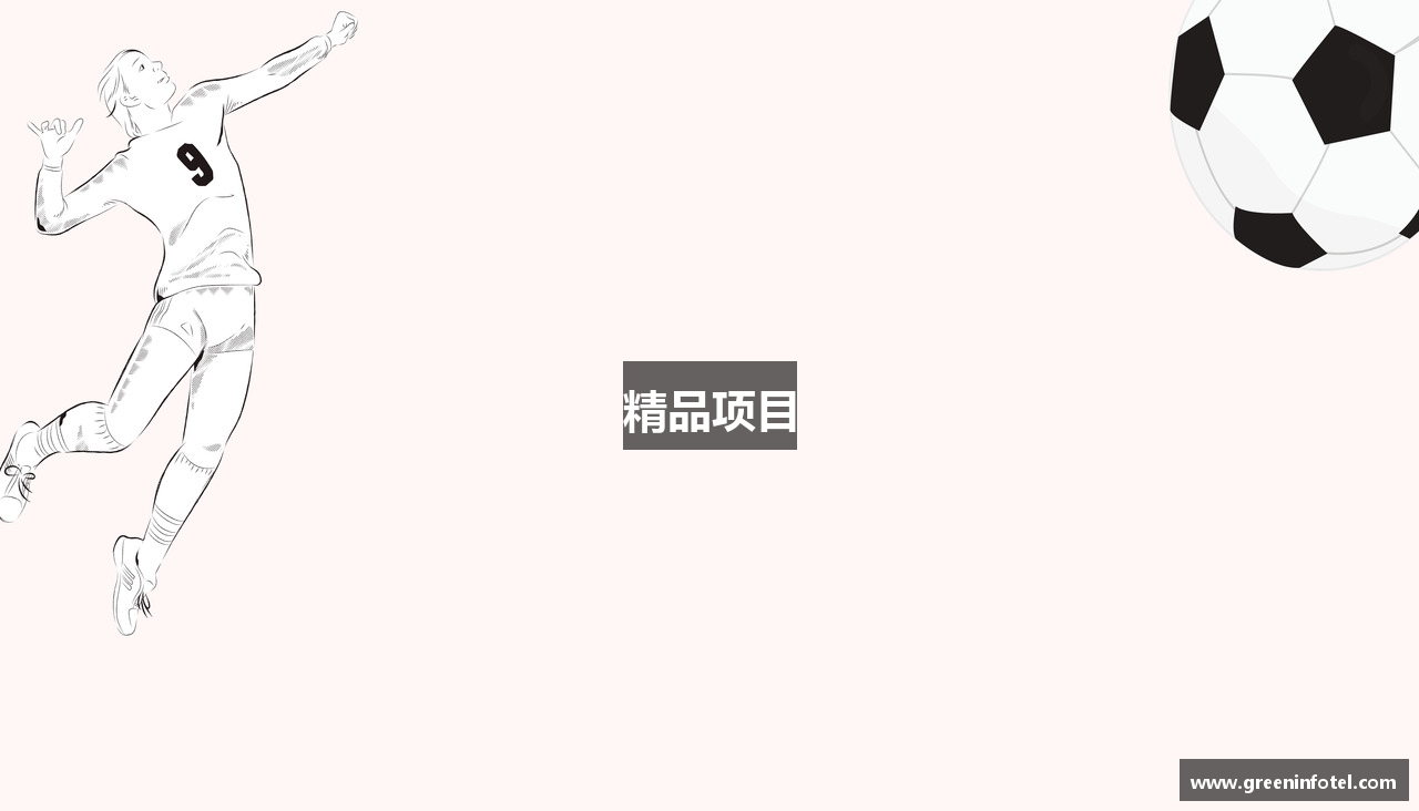 精品项目